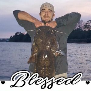 Meet your Posher, Barry